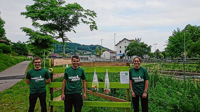 Die Mitglieder der Grünen Jugend Waldshut, Jan Amann, Florian Tröndle und Areli Wantia (von links) haben im Mai 2020 einen Gabenzaun ...