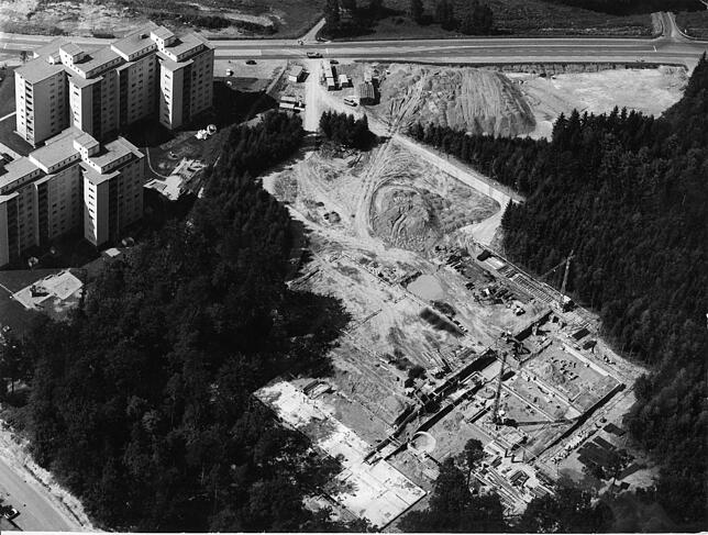 Für die Kooperative Gesamtschule Konstanz-Wollmatingen fielen in den 70er-Jahren Bäume im Schwaketenwald.