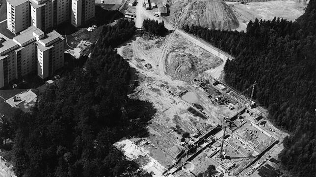 Für die Kooperative Gesamtschule Konstanz-Wollmatingen fielen in den 70er-Jahren Bäume im Schwaketenwald.