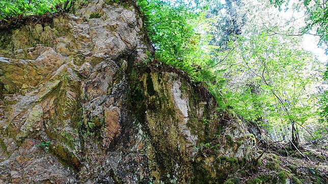 Steil aufragende Felsformationen am Steina­ufer schicken die Fantasie des Betrachters auf Wanderschaft.