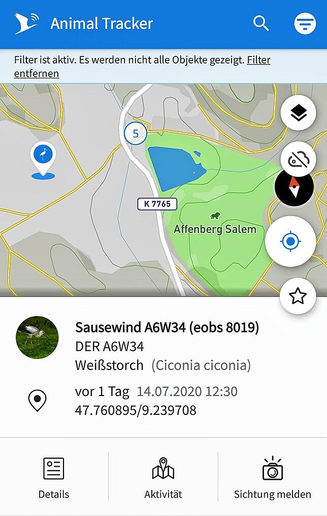 So sieht die App Animal Tracker aus. Sausewind befindet sich auf einem Feld nahe des Affenbergs, wie die Markierung zeigt.
