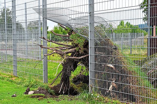 Bild 30: Bilder von den Einsätzen und massiven Schäden nach dem Unwetter in Bodman-Ludwigshafen