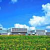 Blick auf das neue Schwarzwald-Baar Klinikum in Villingen-Schwenningen über eine Löwenzahnwiese hinweg: Das neue Großkrankenhaus liegt ...