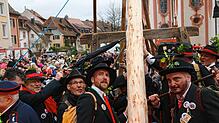 Jedes Jahr am 1. Faißen treffen sich die Wälder in der Bad Säckinger Innenstadt und stellen den Narrenbaum auf dem Münsterplatz auf. In ...