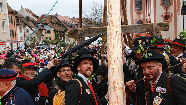 Jedes Jahr am 1. Faißen treffen sich die Wälder in der Bad Säckinger Innenstadt und stellen den Narrenbaum auf dem Münsterplatz auf. In ...
