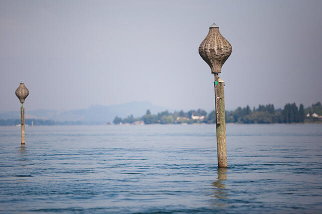 Bild 4: So schön ist Konstanz vom Wasser aus: Vom Wollmatinger Ried bis zur Reichenau