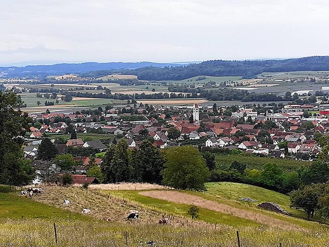 Panorama
