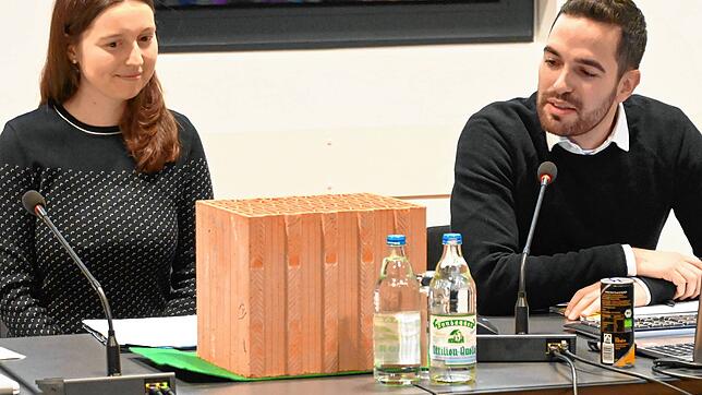 Die Projektleiterin Nathalie Faha von Translake sowie Bürgermeister Christoph Stolz sprechen im Gemeinderat über die Erstellung des ...