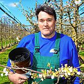 Landwirt Thomas Romer zeigt eine Großkerze, die in Litzelstetten entzündet wurde, um Kirschblüten vor dem Erfrieren zu retten. Auch bei ...
