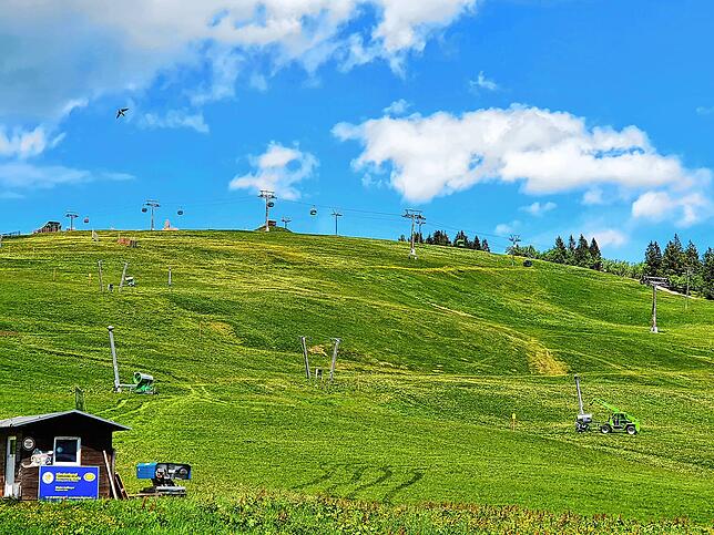 Der Feldberg ist bereits im Sommerkleid.