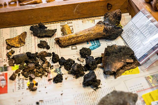 Angebrannte Knochen und verkohlte Knochenreste wurden bei Allensbach in mehreren Brandgruben freigelegt.