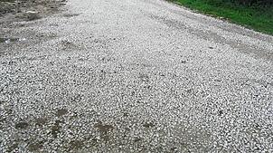 Durch das lose liegende, grobe Material ist der nach Riedöschingen-Blumberg führende Radweg schlecht befahrbar. Bild: Dreyer