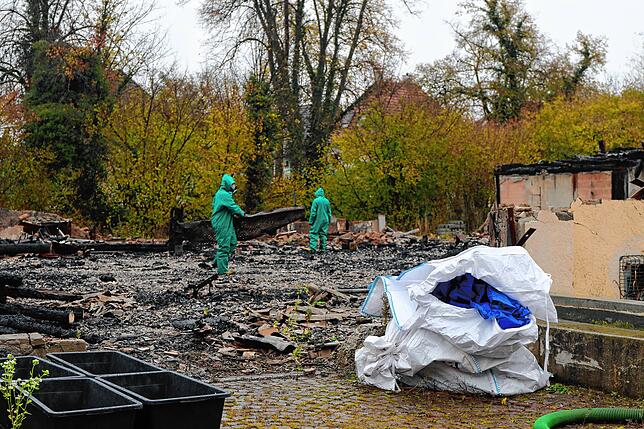 Bild 8: Das Ende der Scheffelhalle: So laufen die aufwändigen Abbruch-Arbeiten