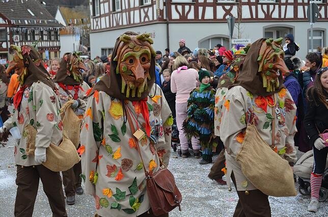 Bild 16: Eigeltinger Narrentage: Der Sonntagsumzug in Bildern (4)