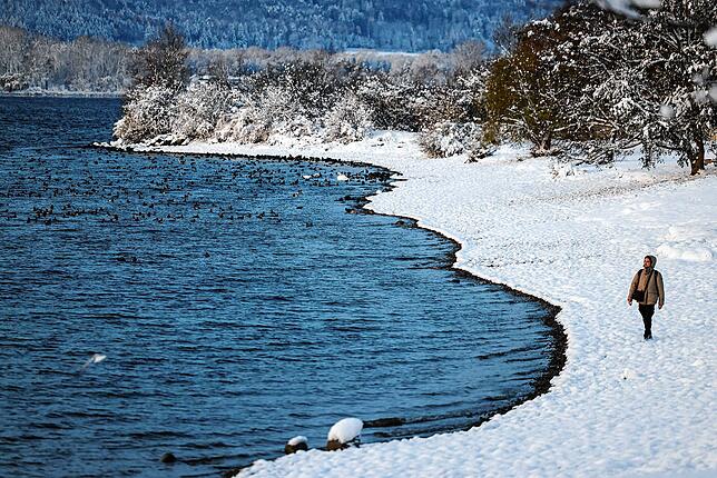 Erster Schneefall im Winter 2024 in Radolfzell.