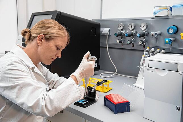 Birgit Fritz hat ihren Doktor an der Hochschule Furtwangen gemacht.