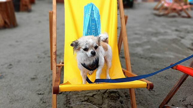 So ein Hundwetter: Liegestühle und Strandkörbe sind am Samstagnachmittag, 2. August, vollkommen durchgeweicht