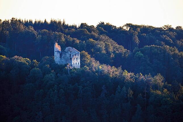 Die Ruine Altbodman ragt aus den umliegenden Wäldern hervor: Von hier haben Besucher eine gute Aussicht über die Umgebung.