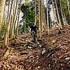 Zukünftig könnten Strecken dieser Art vermehrt auch in VS möglich sein: Patrick Czech beim Downhill-Mountainbiking.
