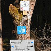 Über weite Strecken verläuft die neue alternative Radverbindung auf dem Linzgauer Jakobsweg.