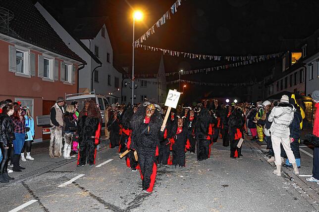 Bild 20: Die schönsten Bilder vom Seenarrentreffen am Samstag in Allensbach
