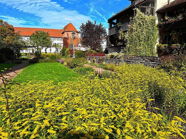 Bild 8: So schön ist der Herbst im Schwarzwald und auf der Baar