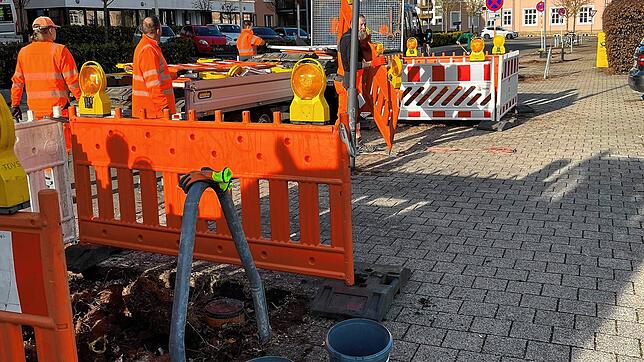 Die Ahornbäume an der Charles-de-Gaulle-Straße in Villingen werden ersetzt.