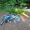 Ein Feuer mitten auf dem Weg zum Villinger Kurpark ist immer verboten, in Zeiten der Trockenheit könnte es aber fatale Konsequenzen ...