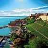 Traditionsreicher und einer der schönsten Steillagen-Weinberge direkt am Bodensee &ndash; der Meersburger Rieschen. An der Mosel und am ...