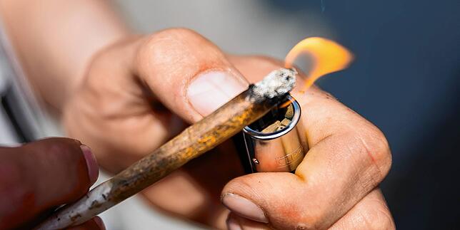 (Symbolbild) Oft ist es der Einstieg in eine Drogenkarriere, die tief in den Sumpf der Kriminalität führt: Cannabis, hier in einem ...