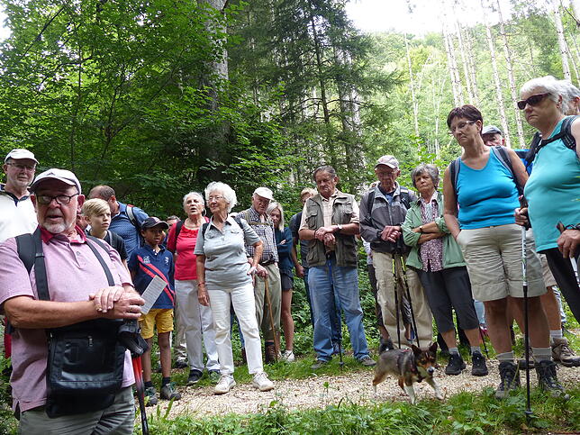 Bild 4: Bilder der &bdquo;Aktion Wanderlust&ldquo; von Verschönerungsverein und SÜDKURIER Überlingen