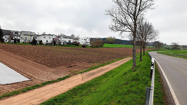 Auf der 2,4 Hektar großen Fläche &bdquo;Auf der Höchten&ldquo; in Rietheim soll nach Ansicht der Ortschaftsräte keine ...