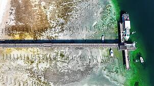 Bild : Niedriger Pegel legt Verborgenes frei: So sieht der Bodensee aus!
