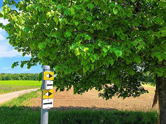 Bild 3: Wandern vor der Haustür (Teil 2): Vom Eschbacher Wasserschloss zum Pusteblumen-Paradies