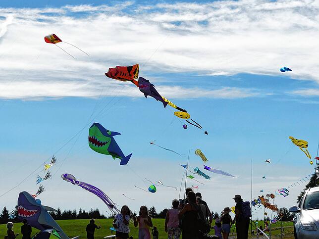 Bild 16: Bilder vom 11. Familien-Drachenfest auf dem Flugplatz in Hütten