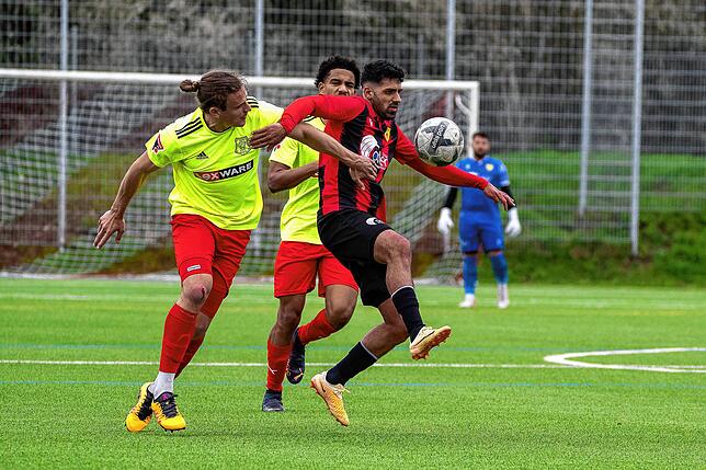 Bild 14: FSV Rheinfelden feiert 12:0-Kantersieg gegen Freiburger FC U23 &ndash; und wir haben Bilder!