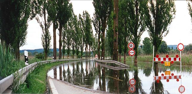 Die Straße zwischen Radolfzell und Moos war wochenlang überschwemmt, die Schilder der Absperrung selbst standen im Wasser.