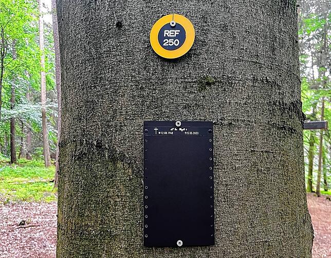 Plakette und Trägertafel wie hier im Ruheforst in Hechingen markieren, ob es sich um ein Gemeinschaftsgrab oder ein Familiengrab ...