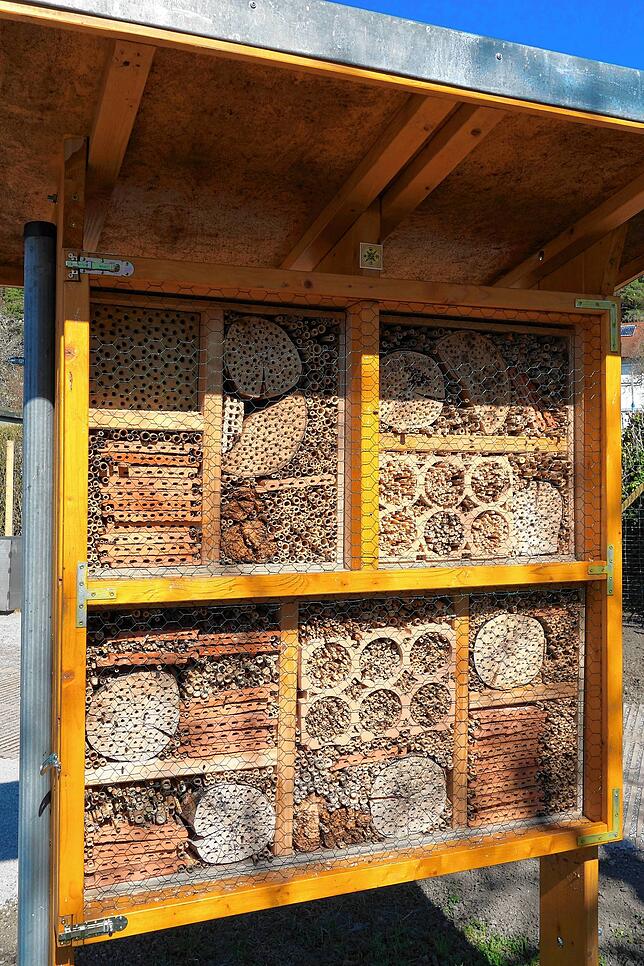 Das Haus für die Wildbienen ist schon gut belegt.