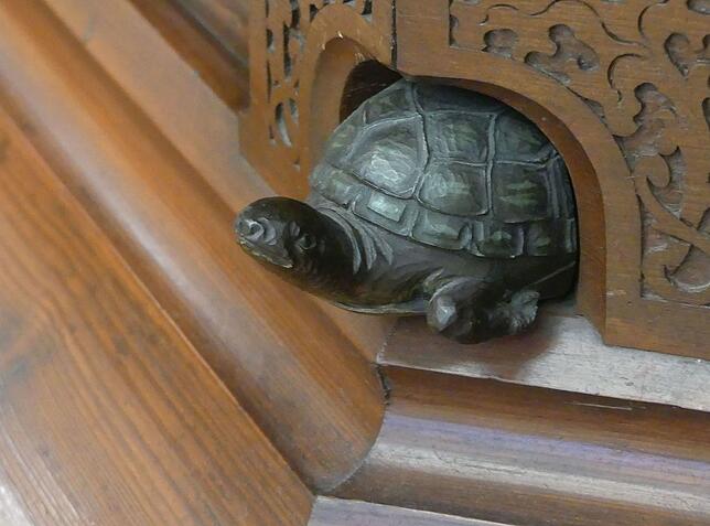 Die Schildkröte als Symbol.