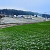 In diesem Bereich plant ein Landwirt den Bau einer Agri-Photovoltaikanlage. Im Technischen Ausschuss gab es durchaus Bedenken gegen das ...