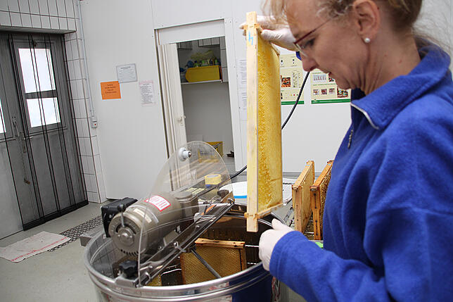 Vier Waben fasst die Honigschleuder. Und bis zu vier Kilo Honig kann eine einzige Bienenwabe tragen.
