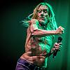 Mittlerweile ein Anti-Adonis: Iggy Pop denkt trotzdem nicht daran, sich ein T-Shirt anzuziehen.