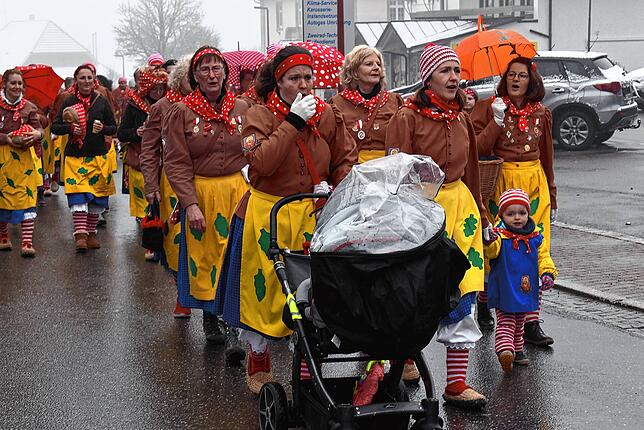 Bild 17: Fasnacht 2025: Bilder der Kindergarten- und Schülerbefreiung in Birkendorf