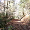 Das Wochenende steht vor der Türe. Wie wäre es mit einem Ausflug in den Wald?