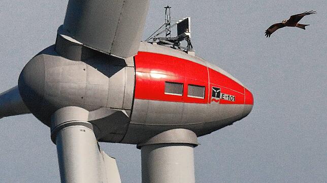 Für BUND und Nabu soll der Rotmilan kein Windrad mehr ausbremsen. Sie fordern 1000 neue Windkraftanlagen im Land und mehr Artenschutz.