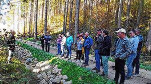 Waldwegeunterhaltung sowie Entwässerung der Wege und Grabensicherung sind Schwerpunkt bei der Waldbegehung des Geisinger Gemeinderates. ...