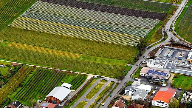 Der Weilerkapellen-Parkplatz soll ortsauswärts entlang der Straße erweitertet werden. Darüber bzw. aus dieser Perspektive links ist das ...