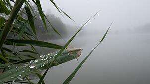Vorhersage: Wetter zum Wochenbeginn mit Regen und Gewittern. (Archivbild)