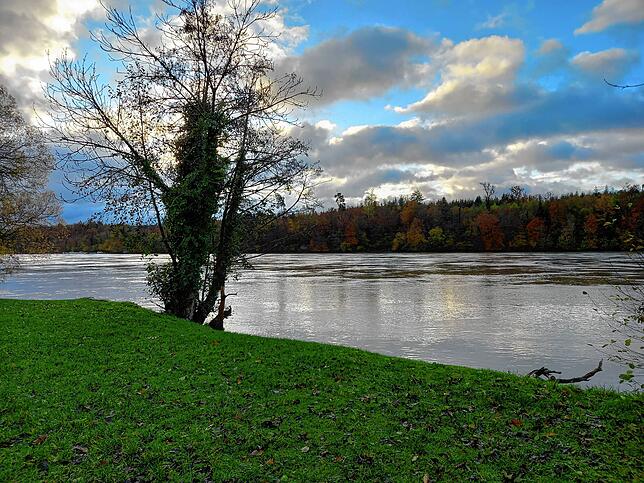 Der Rhein in Schwörstadt am 15. November 2023.